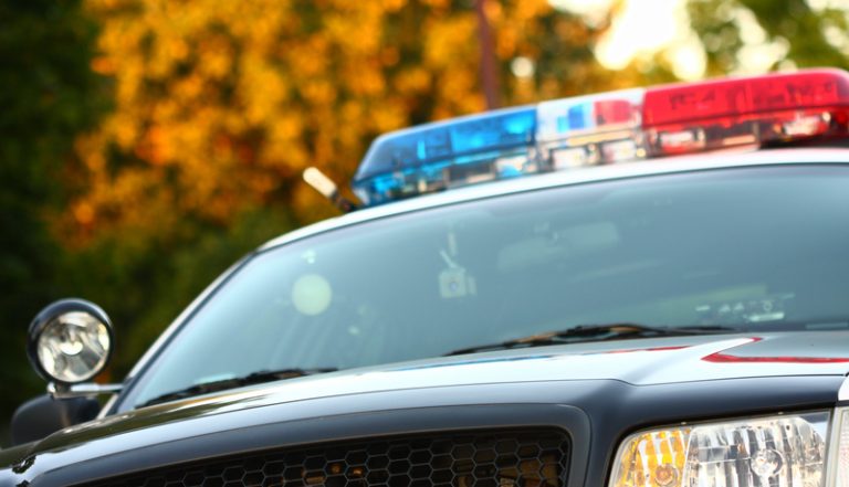 article direct contact details police partner agencies article direct contact details police partner agencies