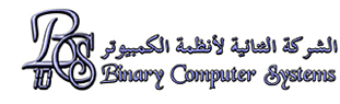 Binary Computer Systems Co.