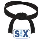 Six Sigma Black Belt