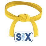 Online Yellow Belt