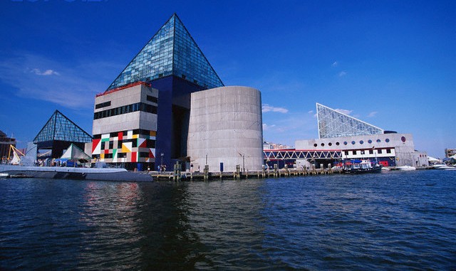 Six Sigma Certification Baltimore
