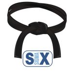 six sigma training, black belt, six sigma, 6sigma.us