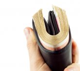 Image: How to Earn Fat Salaries as a Lean Consultant