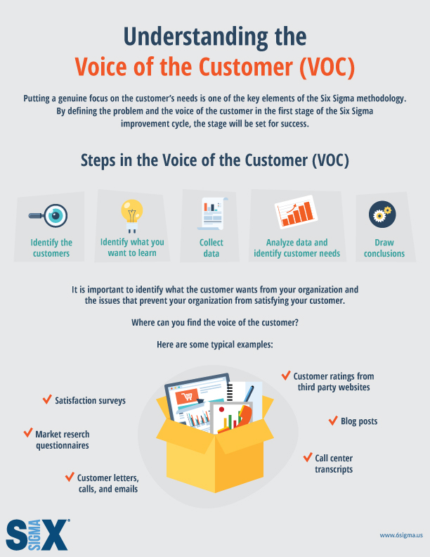 voice of customer