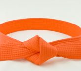 Image: Six Sigma Orange Belt