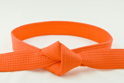 Best Of yellow belt to orange belt Everything you need to know about ...