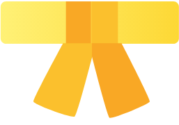 Online Yellow Belt