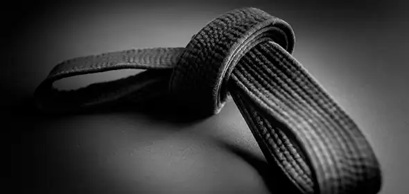 Six Sigma Master Black Belt