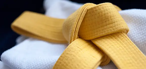 Six Sigma Yellow Belt