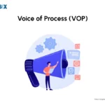 Image: Voice of the Process (VOP)