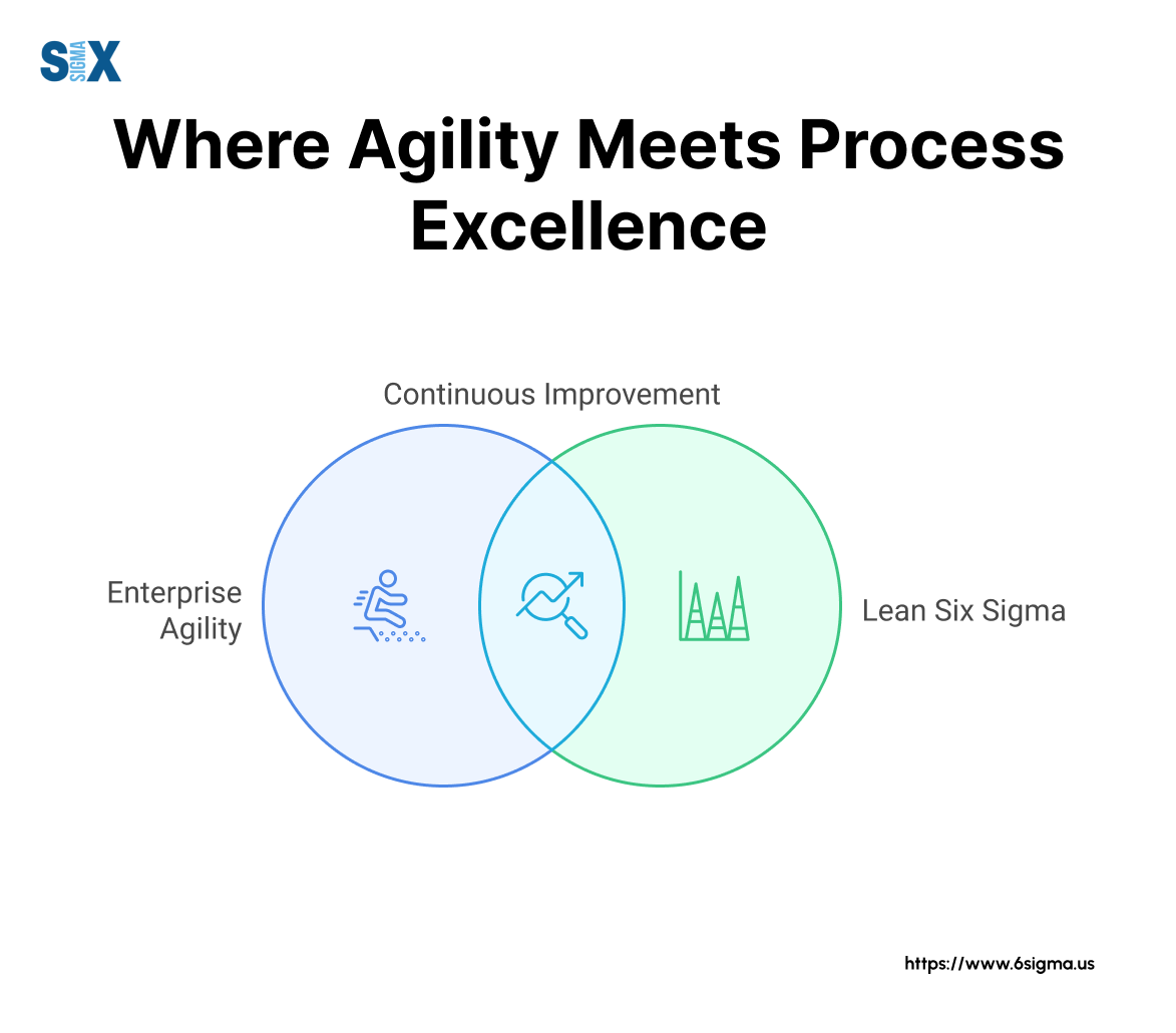 Image: Where Agility Meets Process Excellence