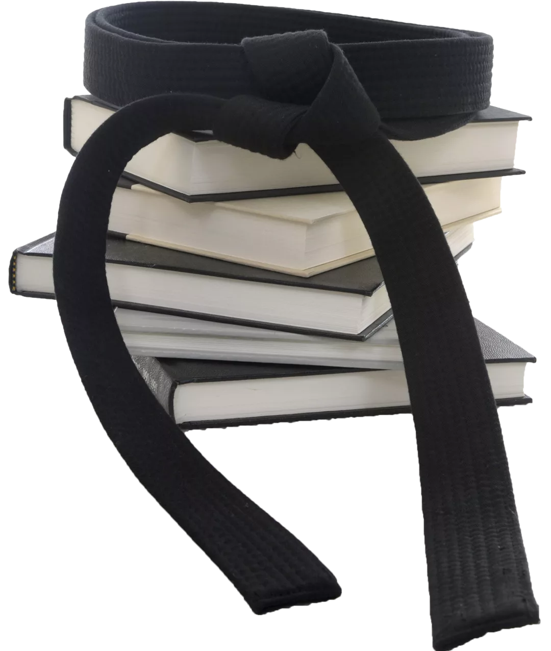 Image: Six Sigma Master Black Belt